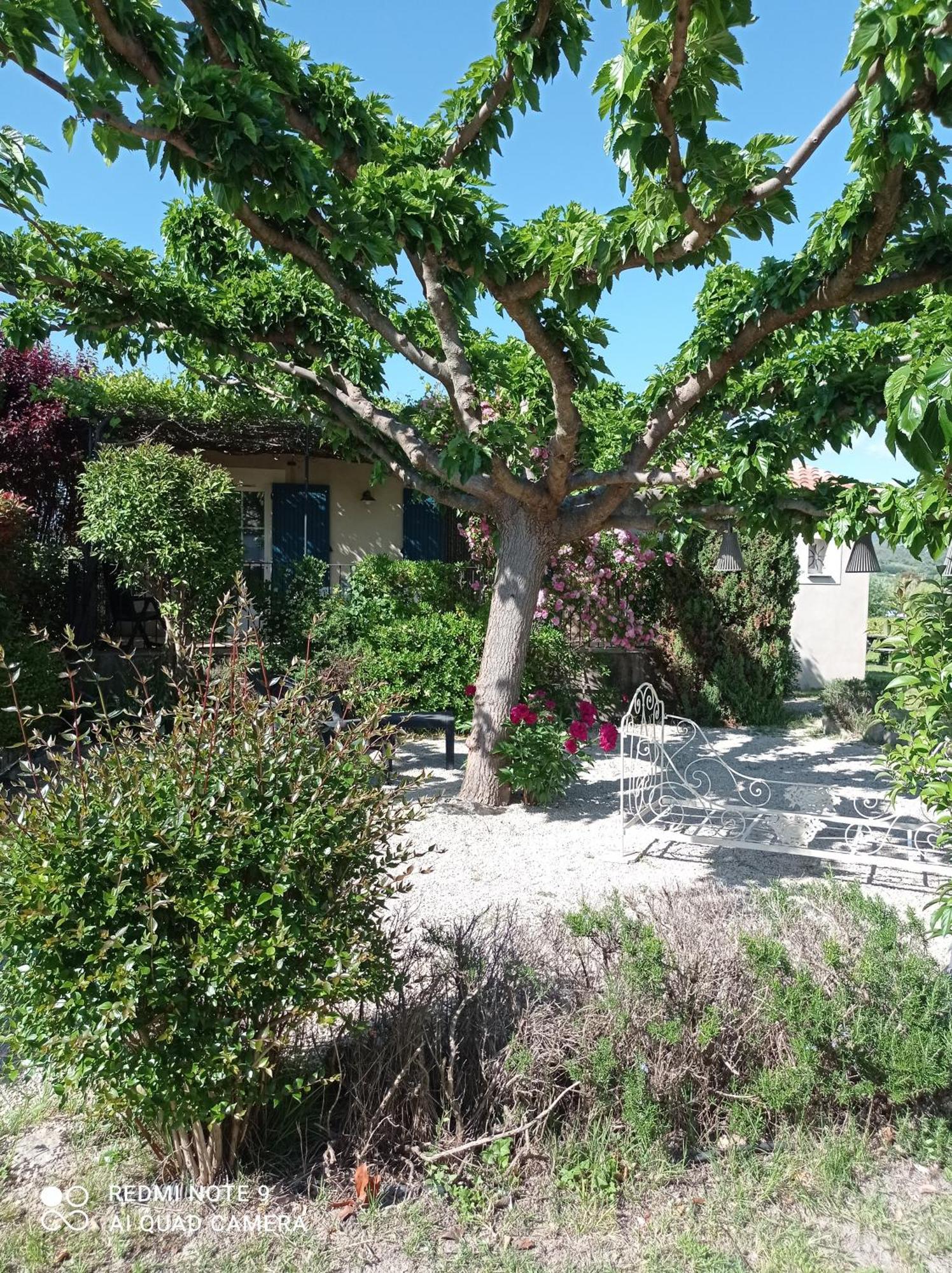 Le Cabanon D'Amandine Et Gabriel Villa Blauvac Exterior photo