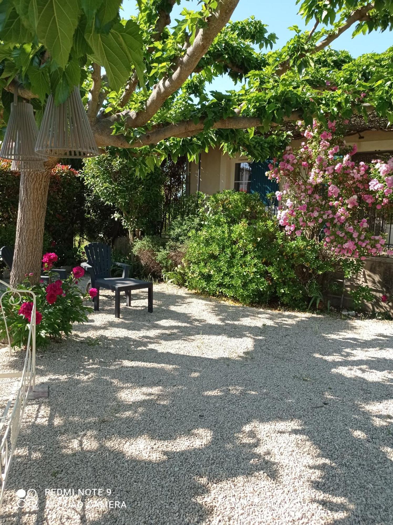 Le Cabanon D'Amandine Et Gabriel Villa Blauvac Exterior photo